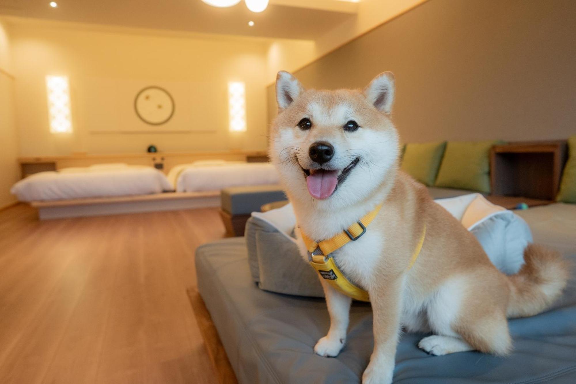 Ureshino Yadoya Hotel Luaran gambar